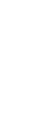 Leaf Png