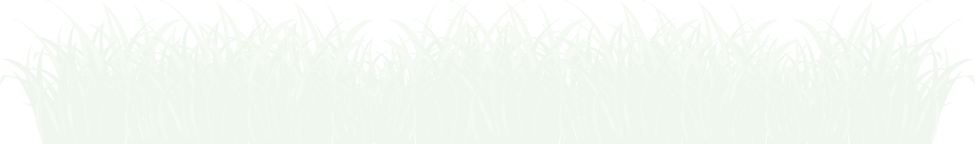 Leaf Png